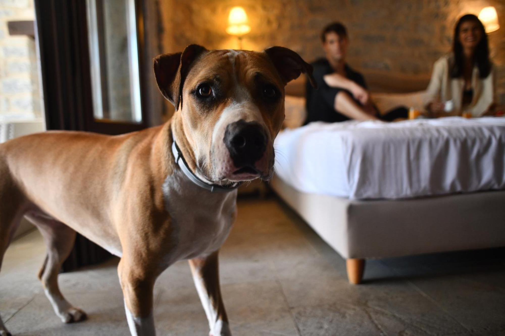 Petra & Fos Boutique Hotel & Spa Итилон Экстерьер фото